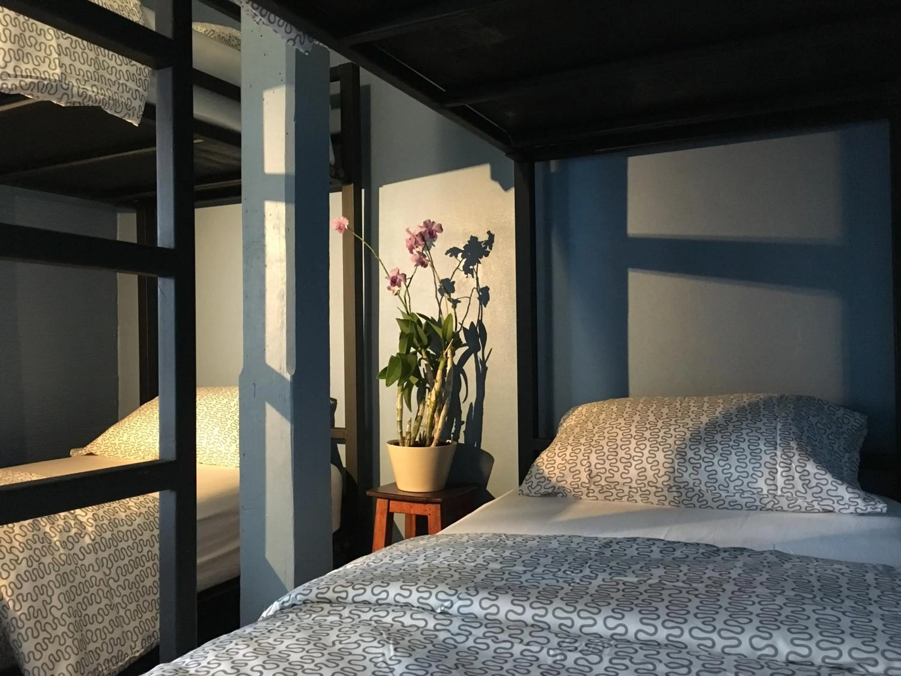 bunk bed, Bed in Blue Chang House