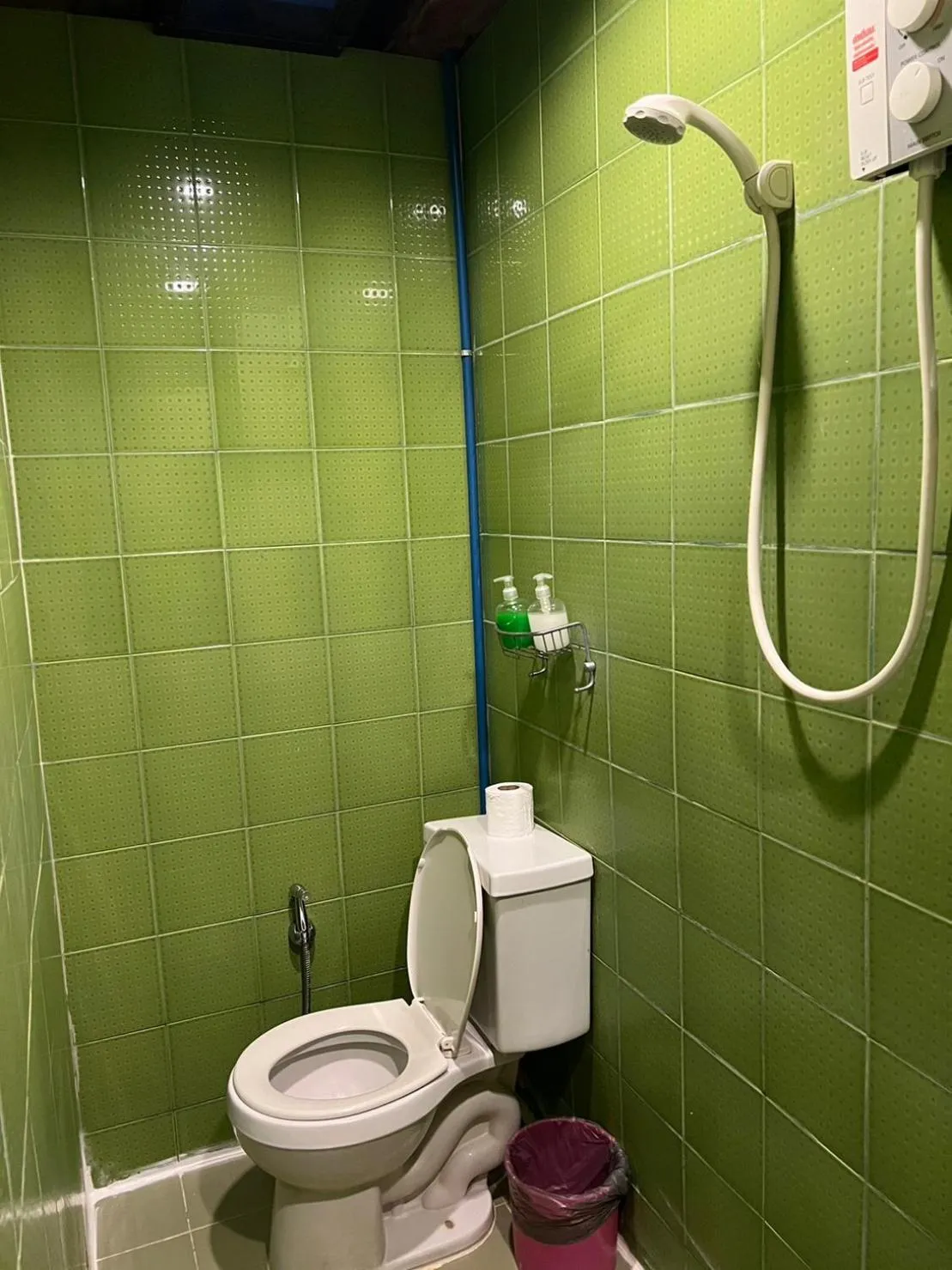 Bathroom in Blue Chang House