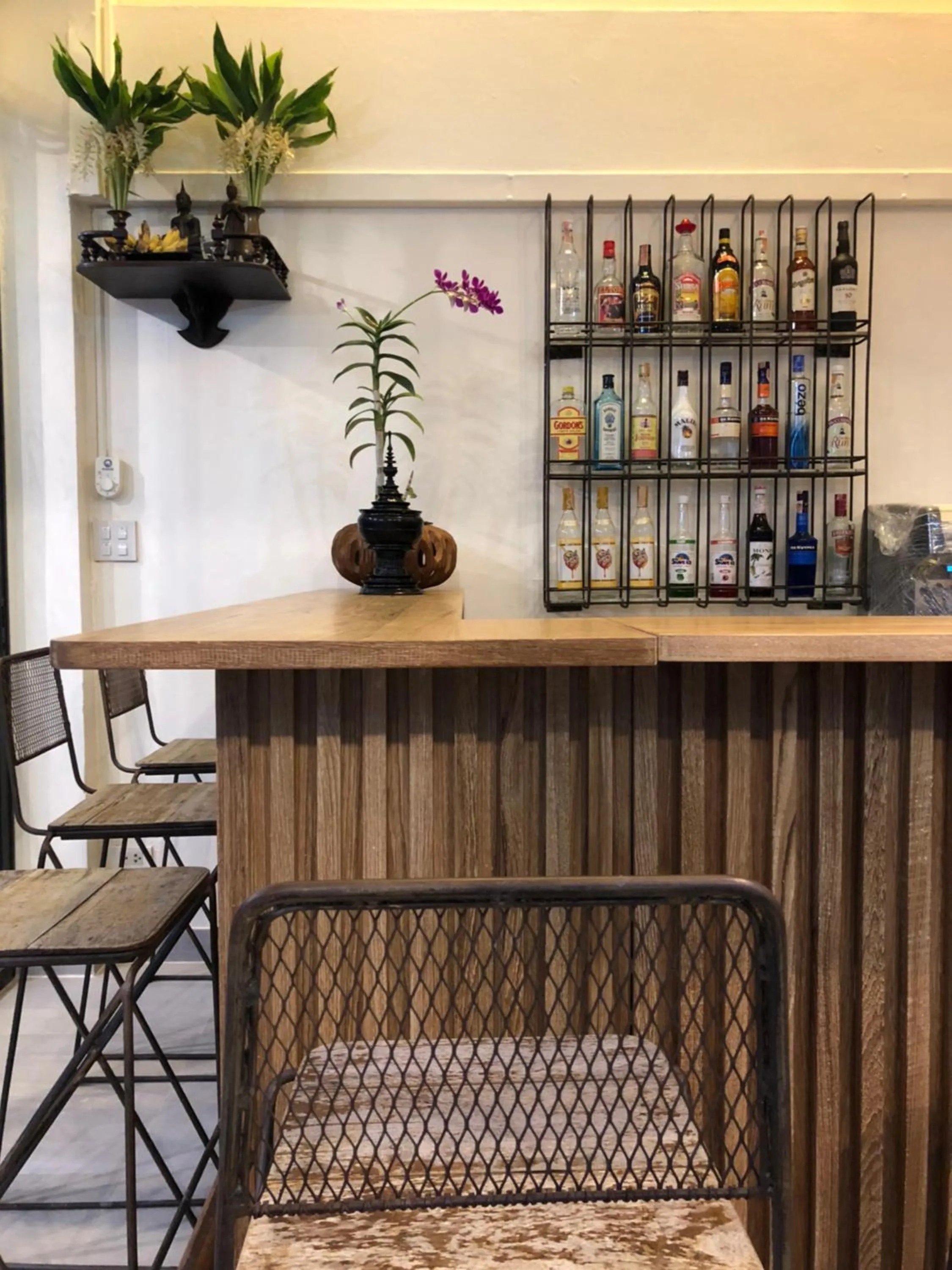 Lounge or bar in Blue Chang House