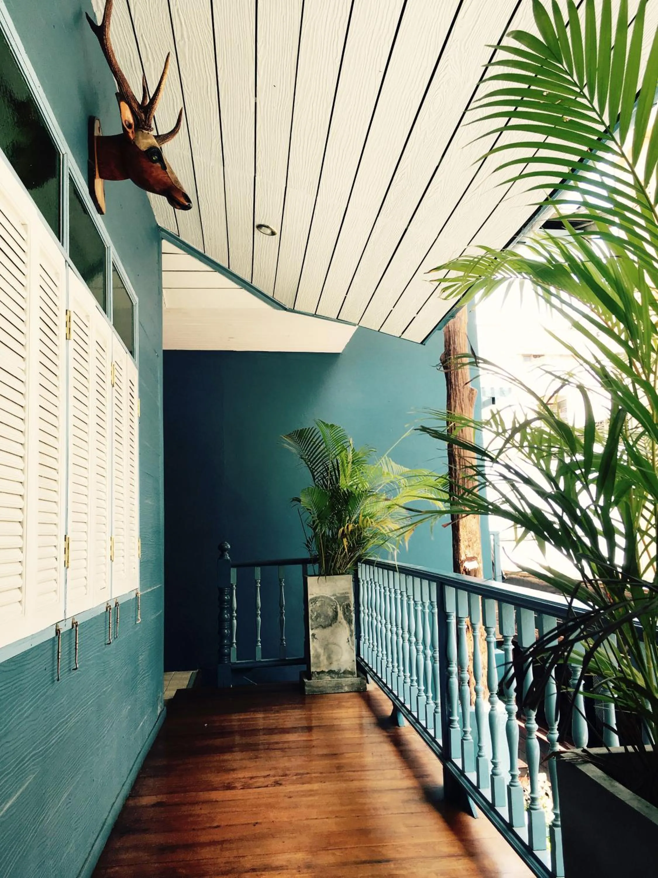 Balcony/Terrace in Blue Chang House