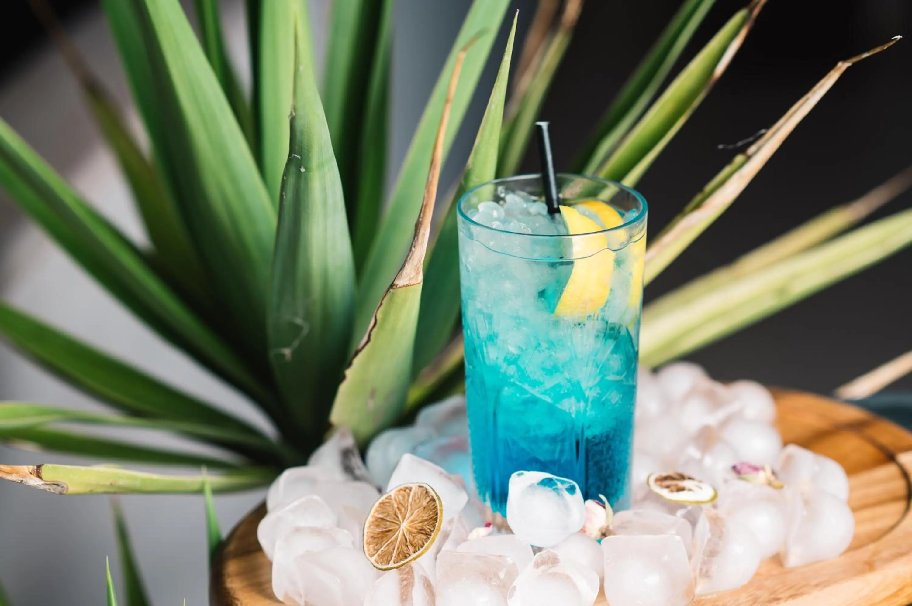 Lounge or bar in Villa Oleander