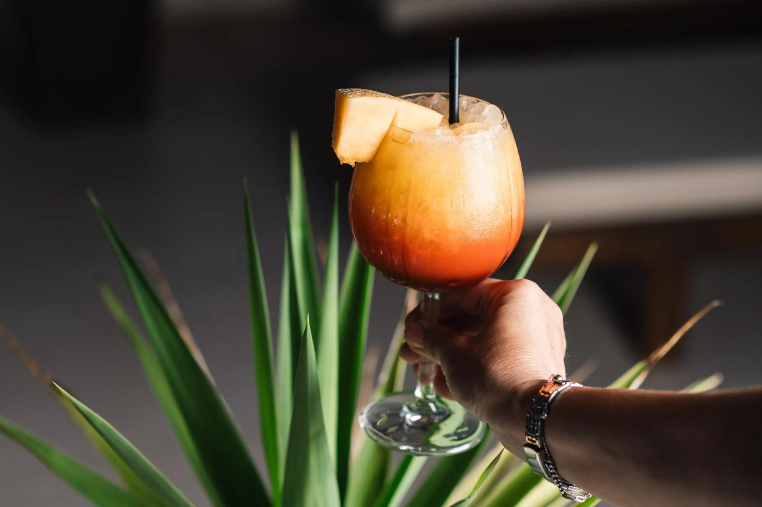 Lounge or bar in Villa Oleander