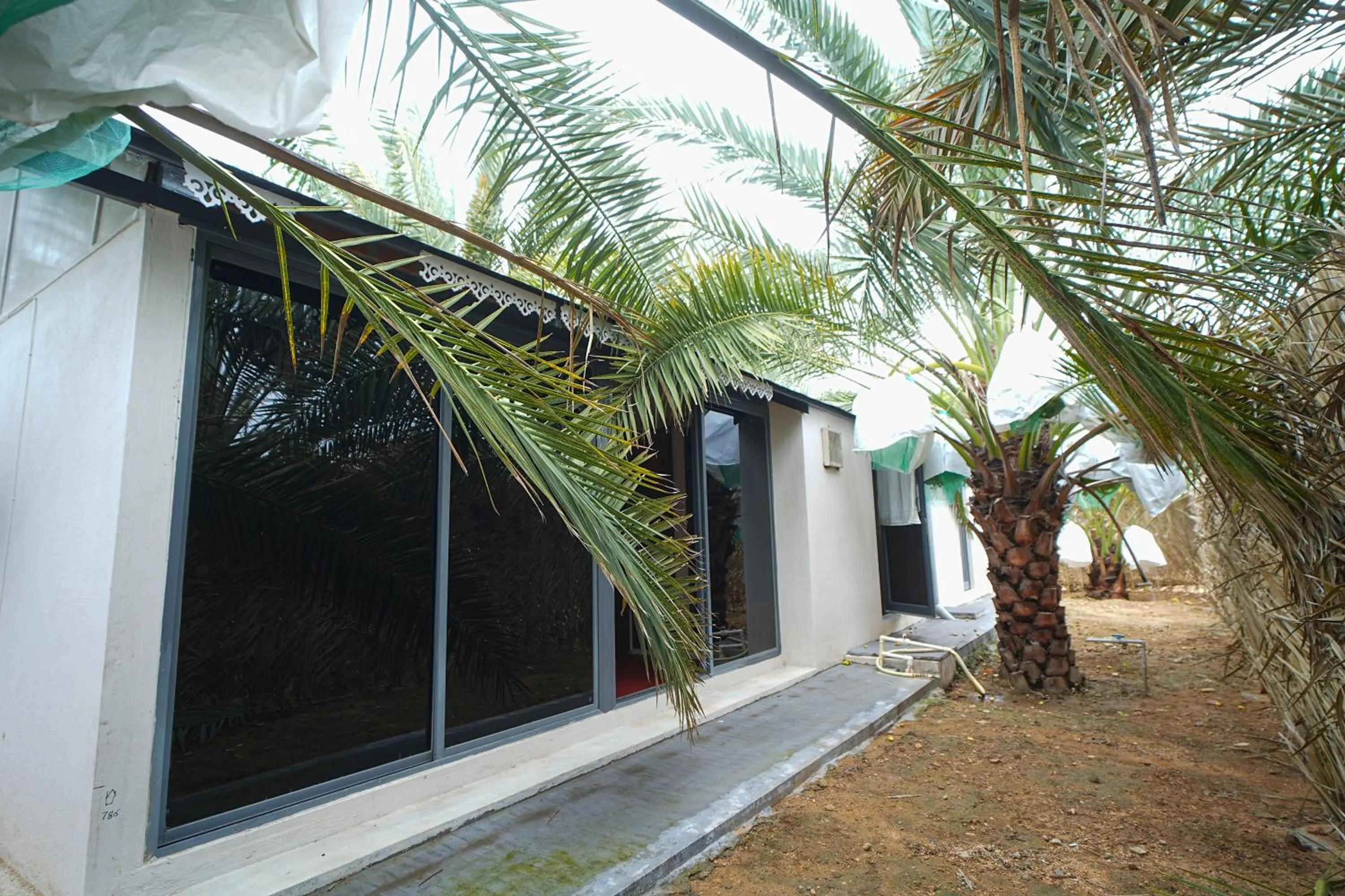 Garden view in Habba Dates Villa Near Chikkaballapur