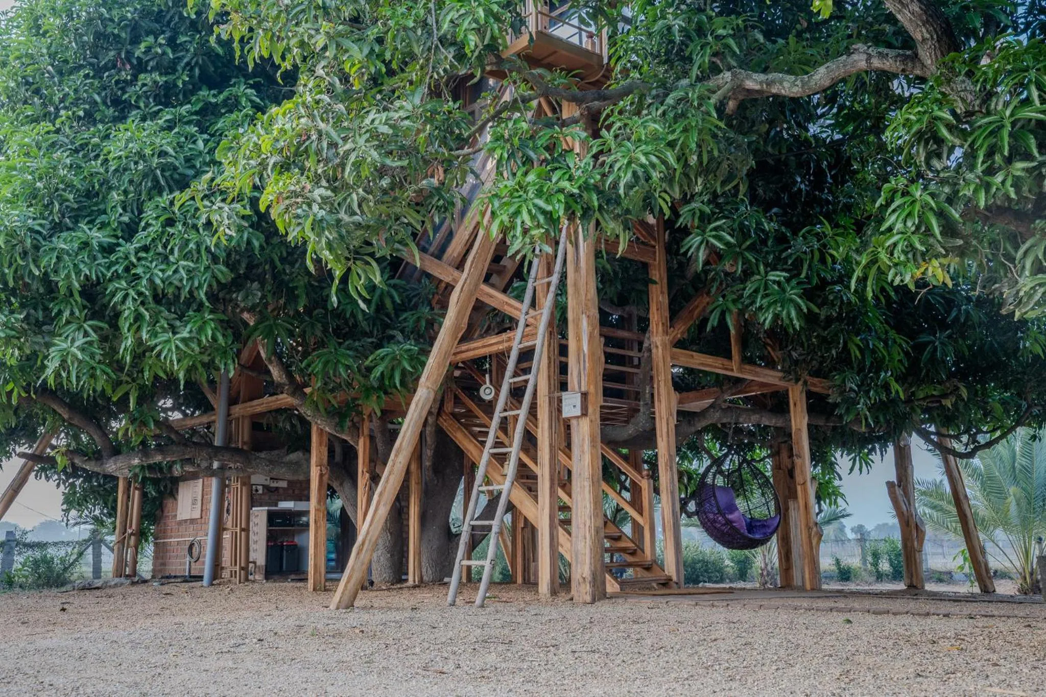 Facade/entrance in Habba Dates Villa Near Chikkaballapur