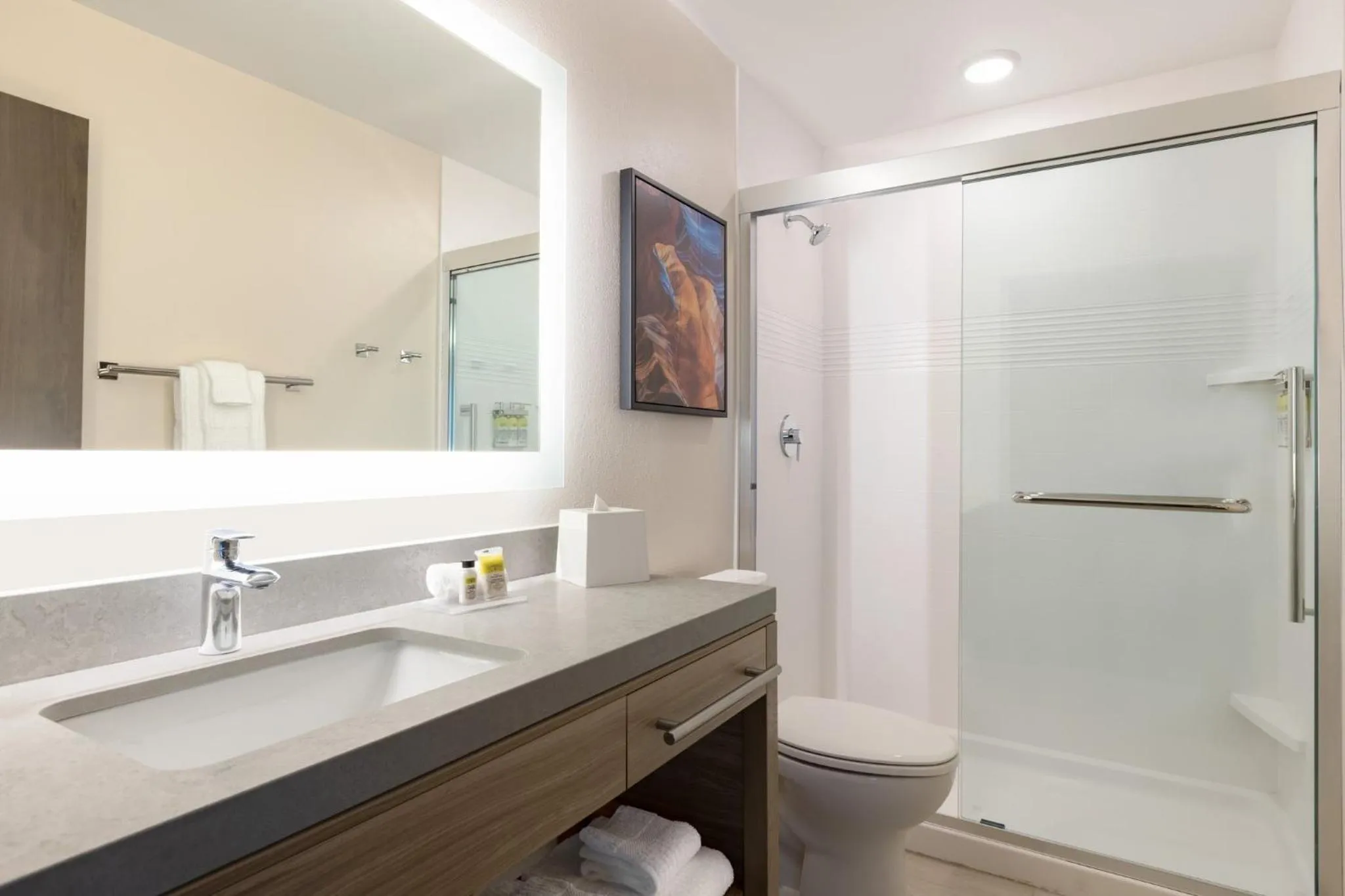 Bathroom in Candlewood Suites Middletown - Goshen by IHG