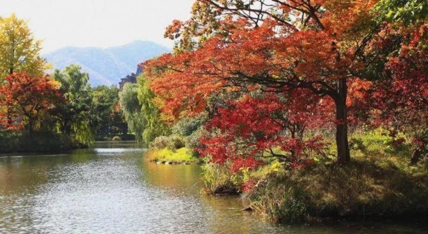 Hotel Ronshan Sapporo