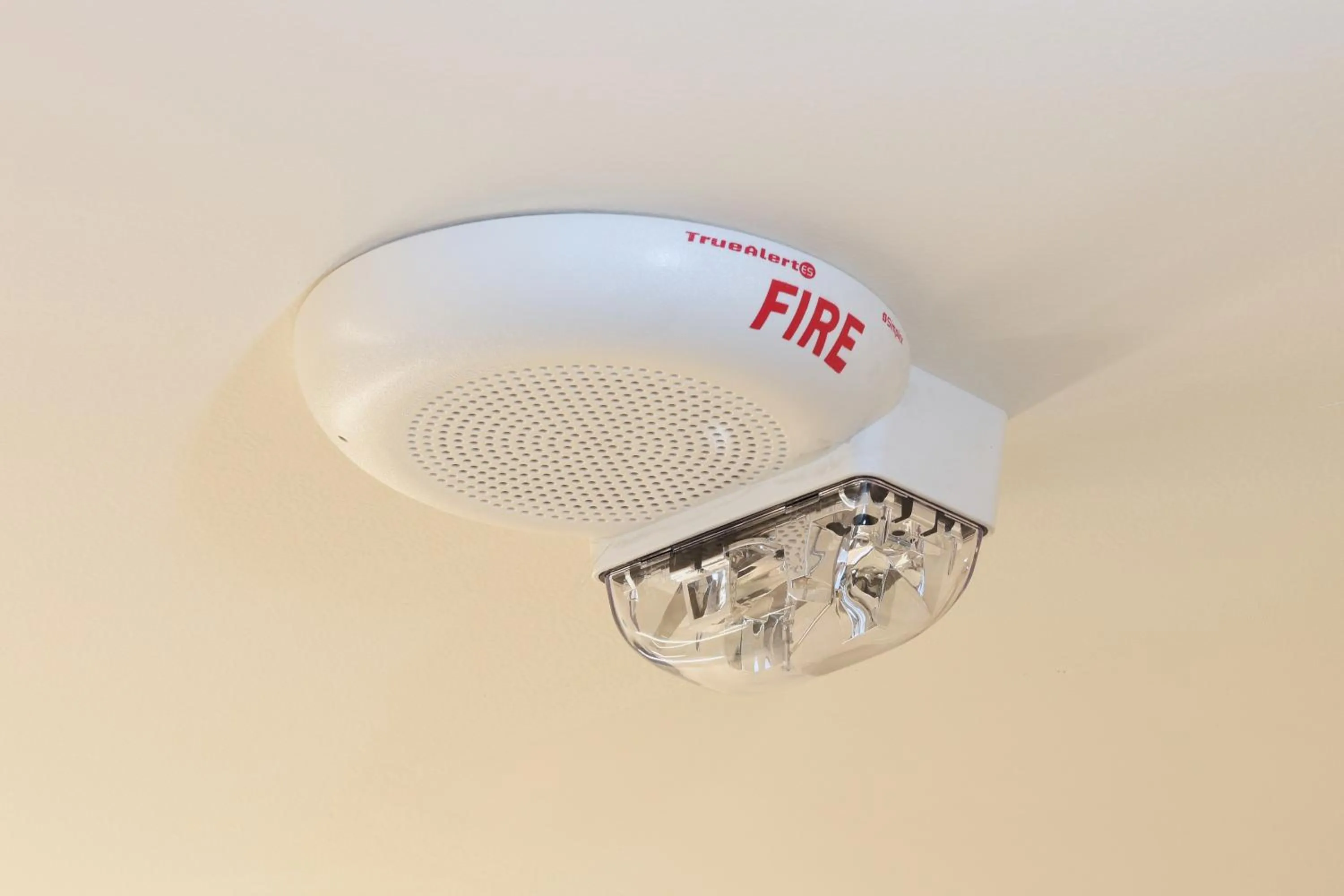 Decorative detail in avid hotel Guadalajara Aeropuerto Norte