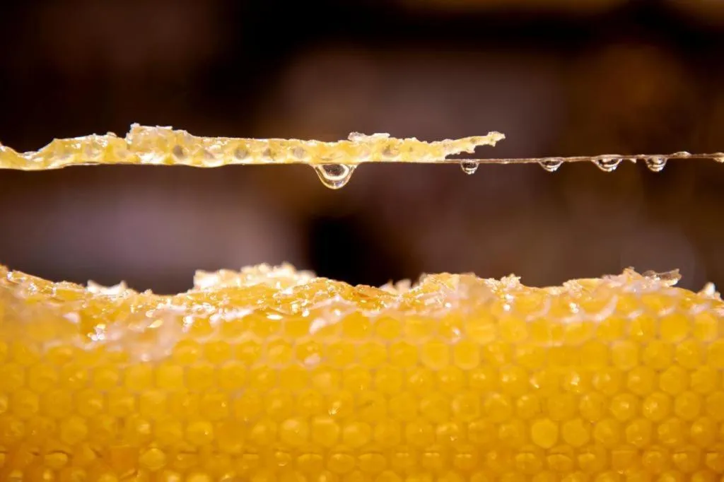 Hotel New Palace Aizuwakamatsu