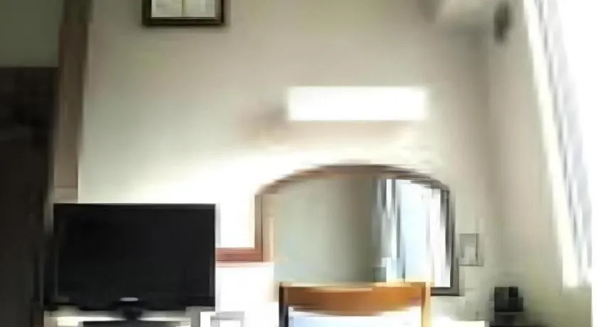 Tokyo Business Hotel