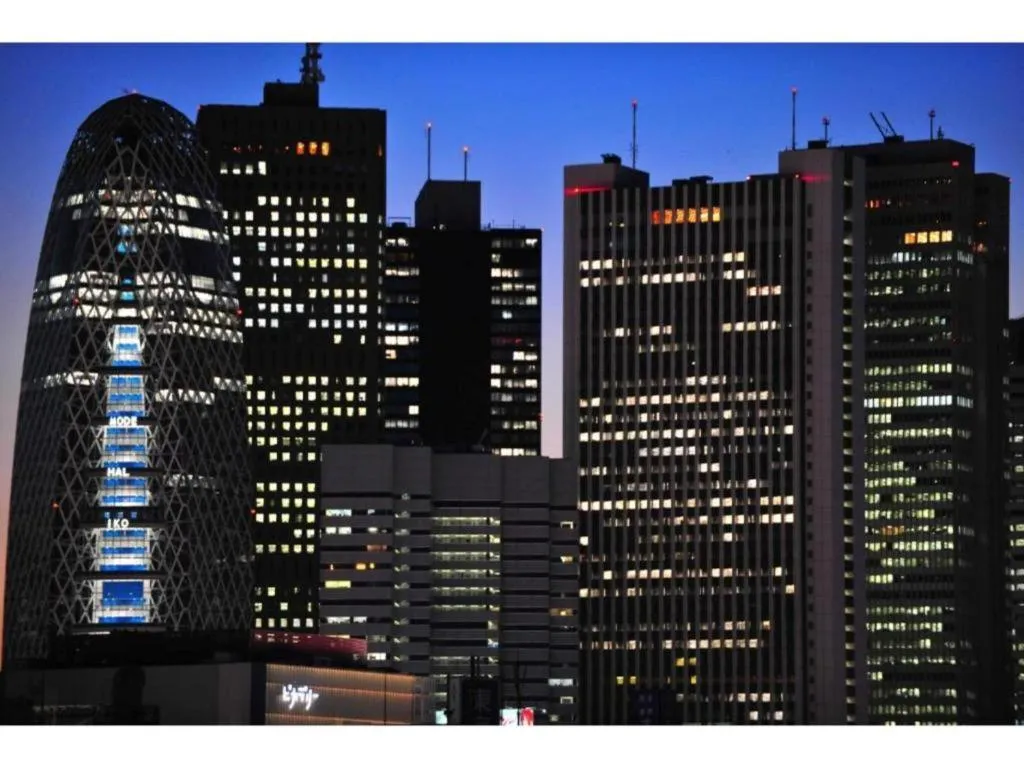 Tokyo Business Hotel