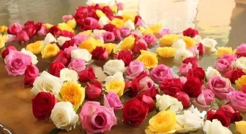 Hotel Myoken Tanaka Kaikan