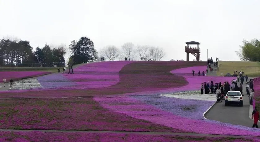 Utsunomiya Higashi Hotel