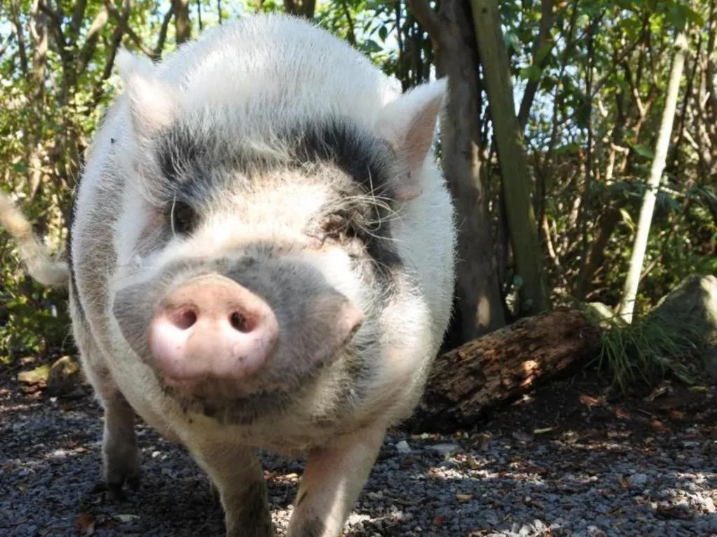 Secret Base Tokinokakera