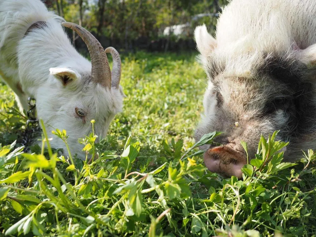 Secret Base Tokinokakera