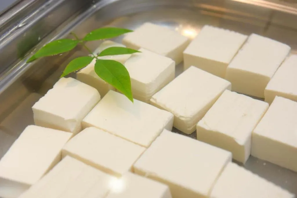 Kyoto Plaza Hotel Annex