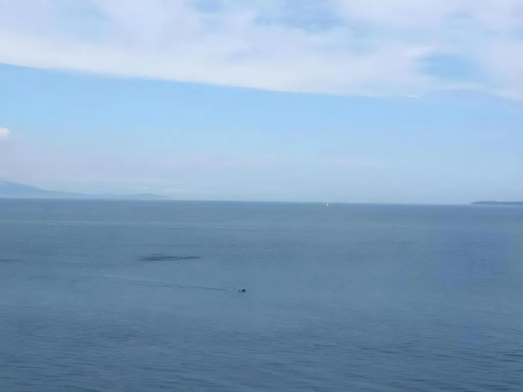 Luxury Wa Hotel Kaze No Kaori