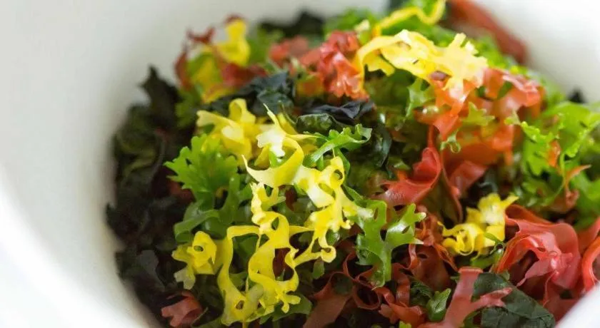 Hotel AreaOne Miyazaki City