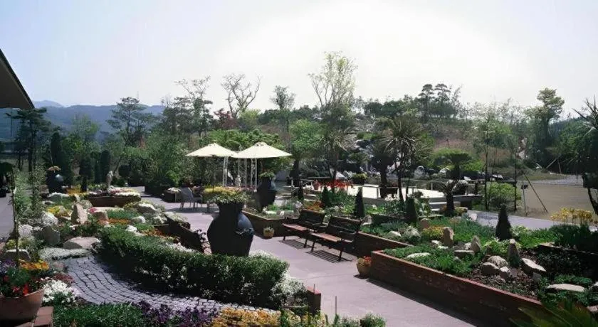 Shiratamano Yu Kahou