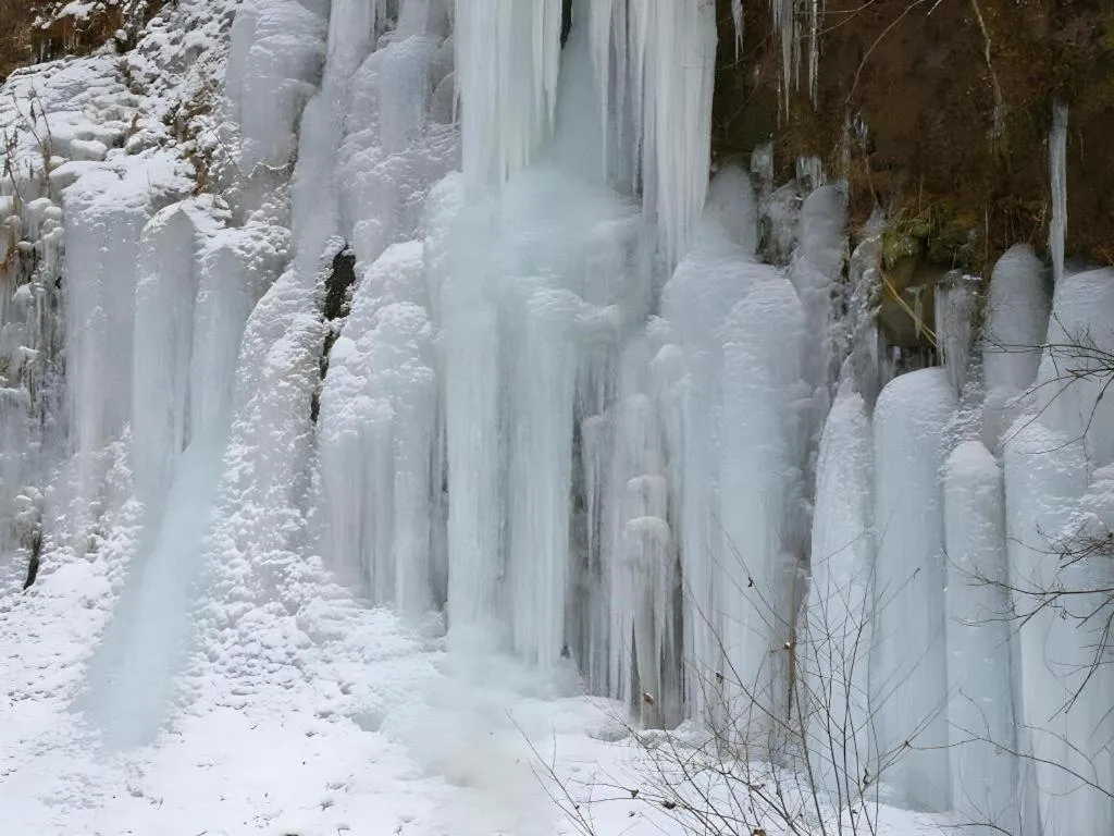 Hotel Harvest Tateshina