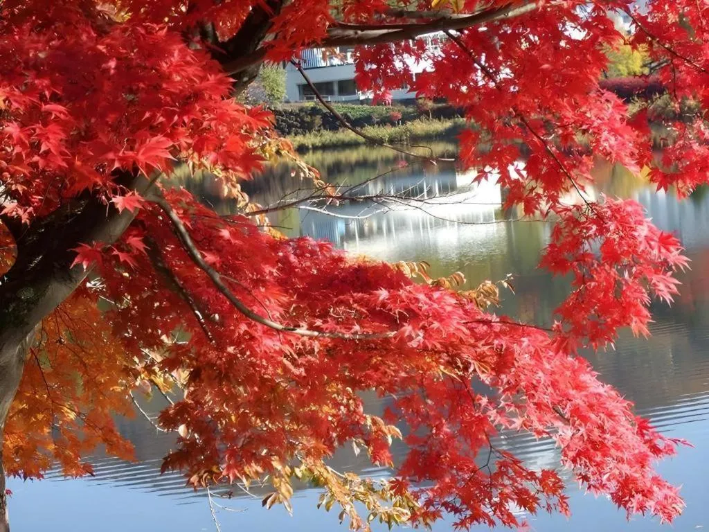 Hotel Harvest Tateshina