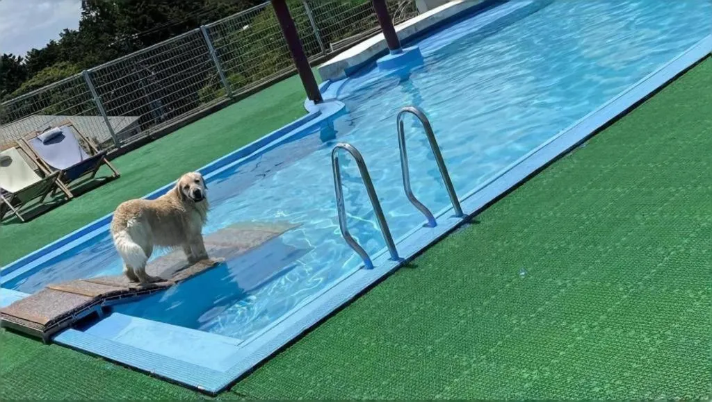 Izukogen Wanwan Paradise Condominium