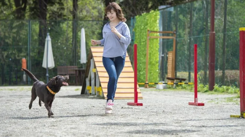 Izukogen Wanwan Paradise Condominium