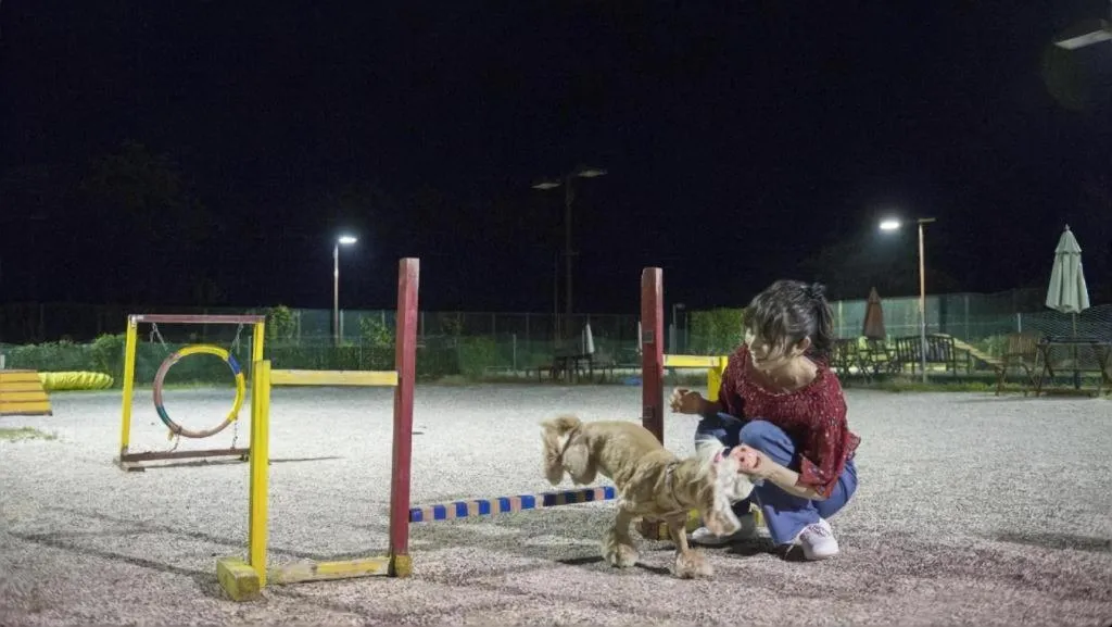 Izukogen Wanwan Paradise Condominium