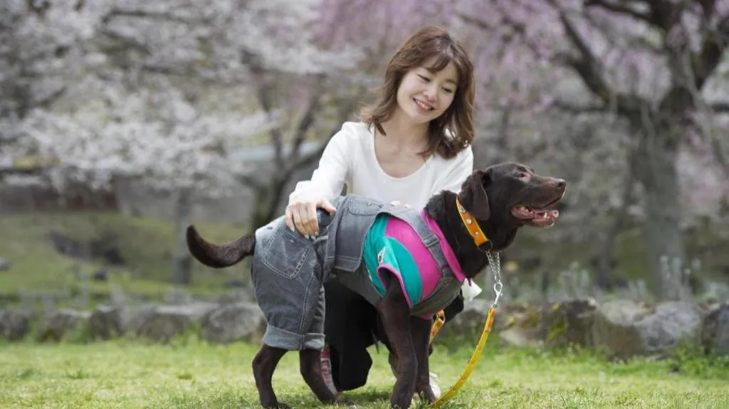 Izukogen Wanwan Paradise Condominium