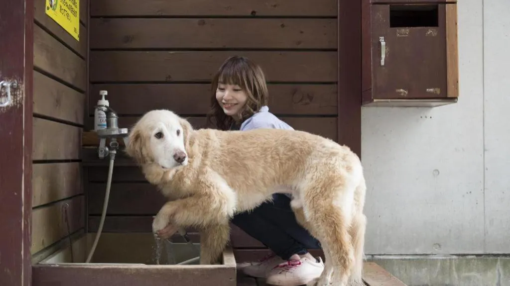 Izukogen Wanwan Paradise Condominium