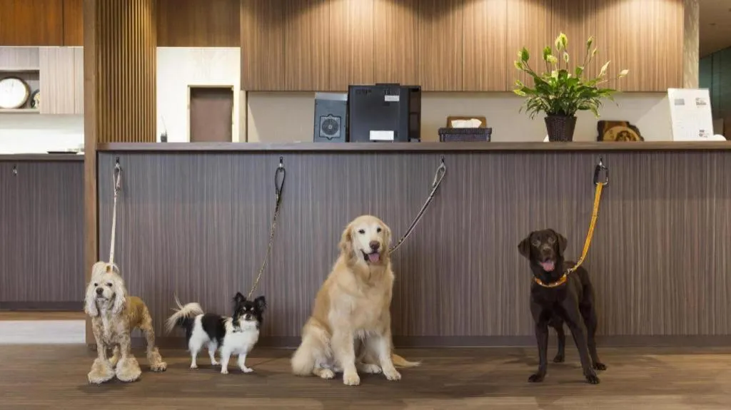 Izukogen Wanwan Paradise Condominium