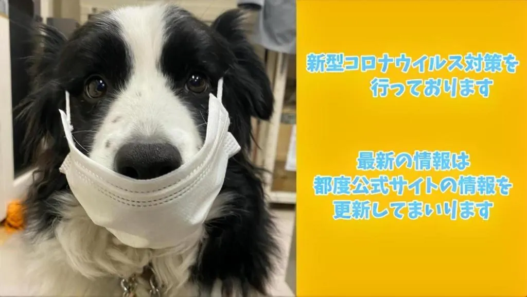 Izukogen Wanwan Paradise Condominium