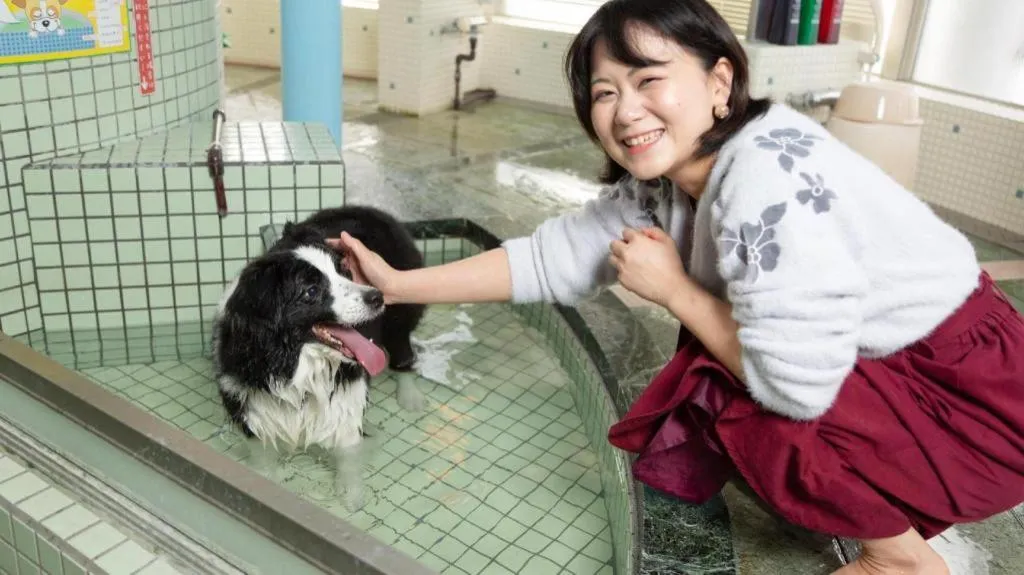 Izukogen Wanwan Paradise Condominium