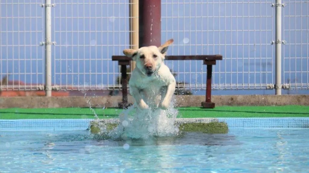 Izukogen Wanwan Paradise Condominium