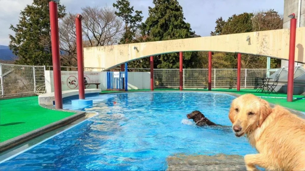 Izukogen Wanwan Paradise Condominium