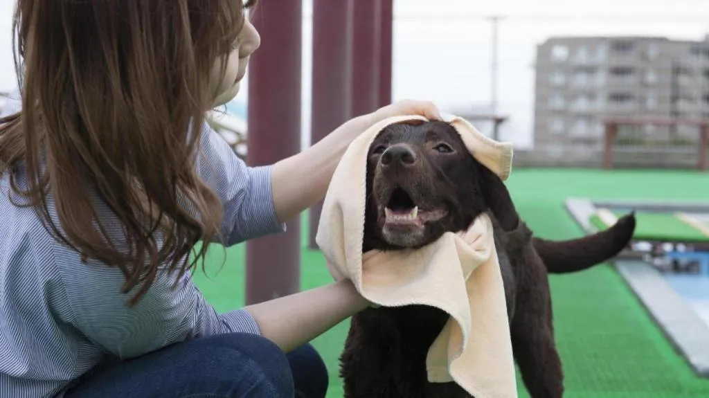 Izukogen Wanwan Paradise Condominium