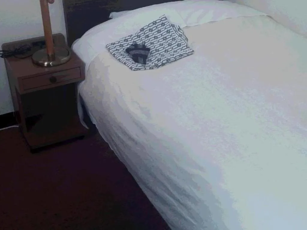 Business Daiichi Hotel Omihachiman