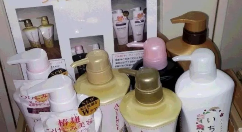 Business Daiichi Hotel Omihachiman