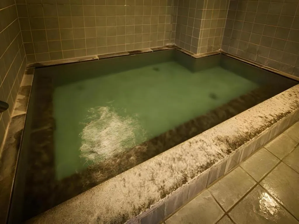 Super Hotel Satsuma Sendai