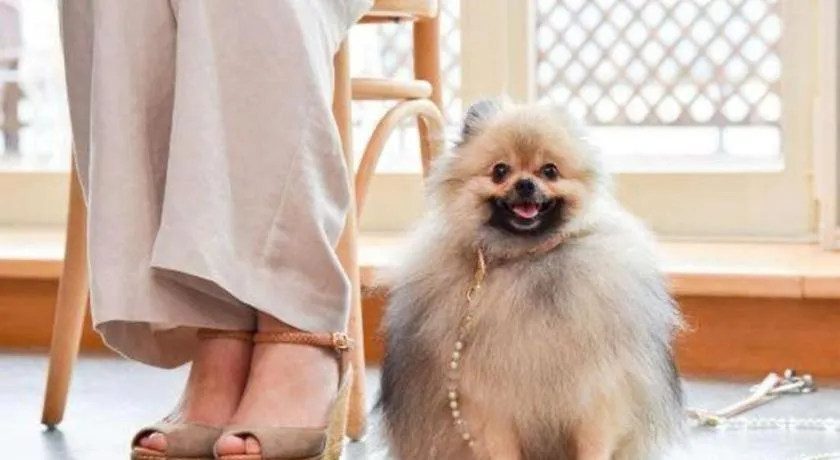 Hamanako Lake Side Plaza