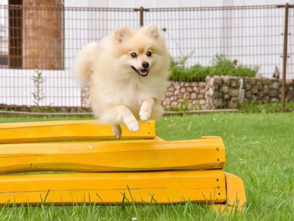 Hamanako Lake Side Plaza