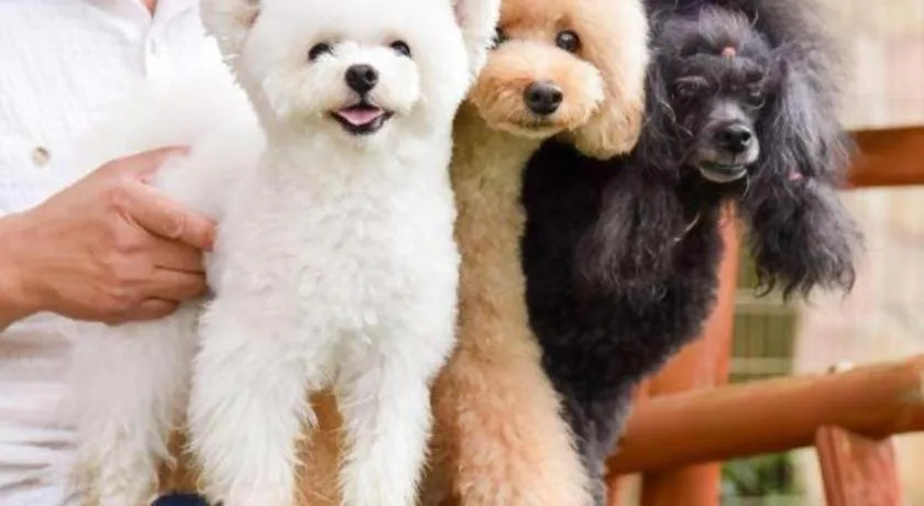 Hamanako Lake Side Plaza