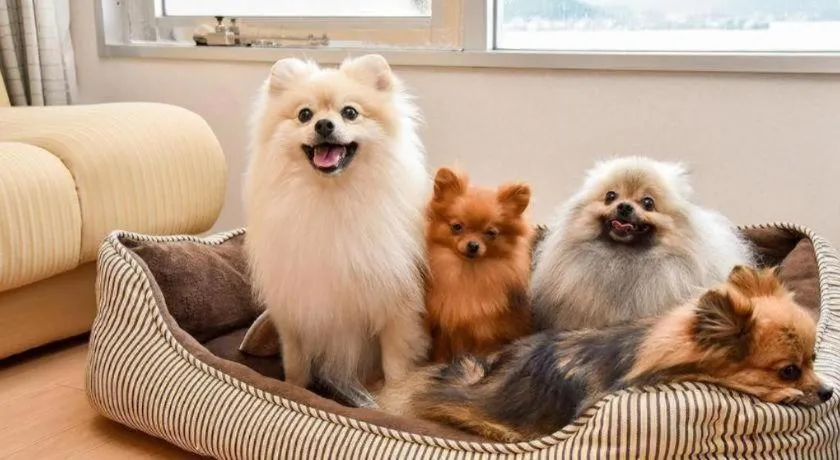 Hamanako Lake Side Plaza