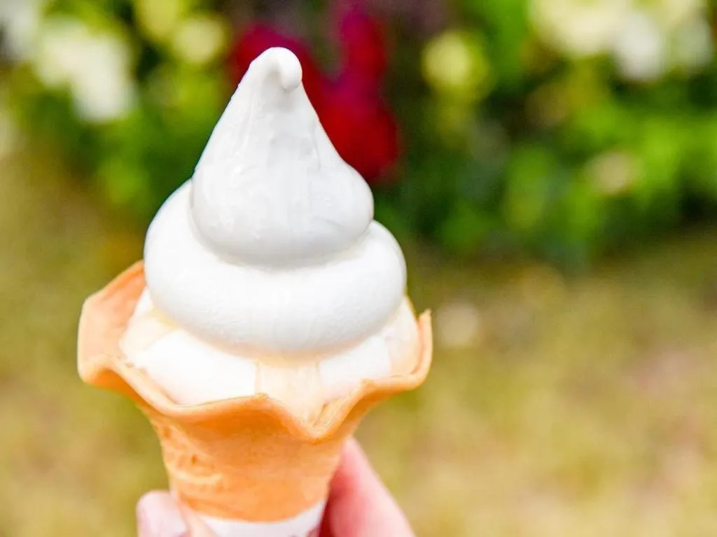 Hamanako Lake Side Plaza