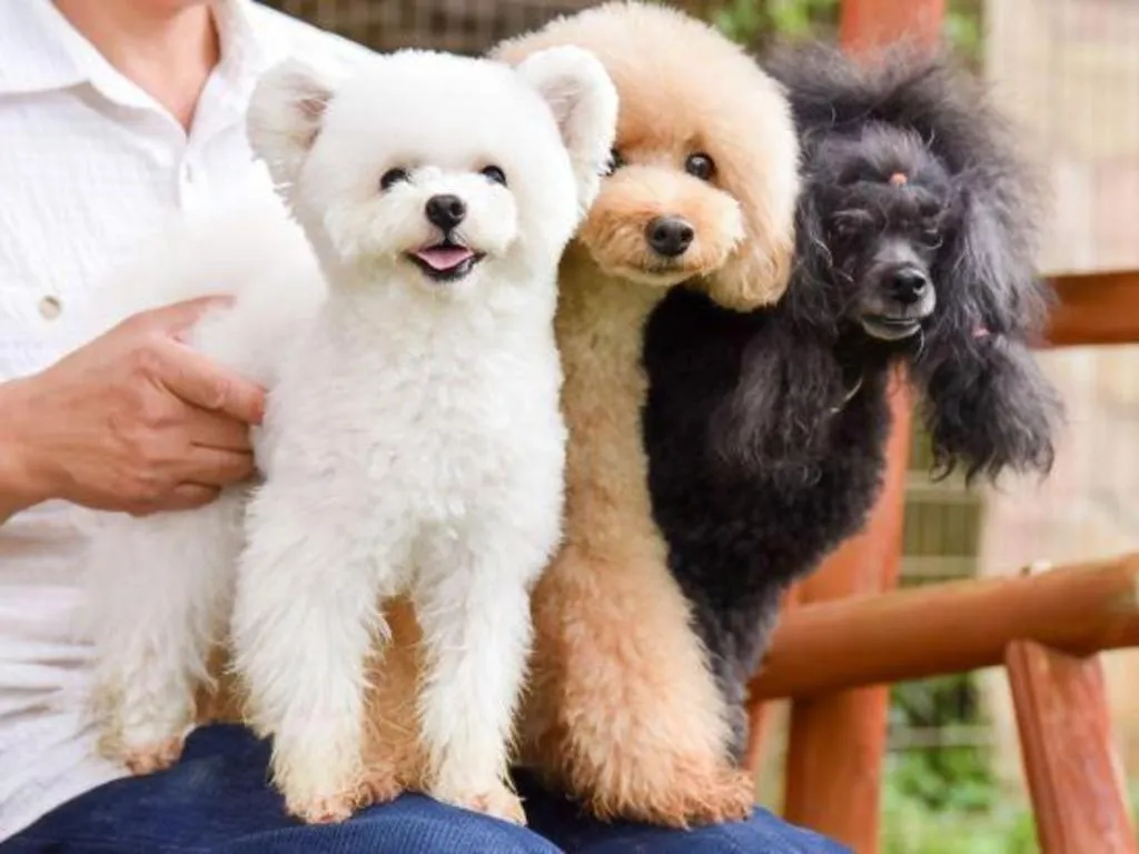 Hamanako Lake Side Plaza