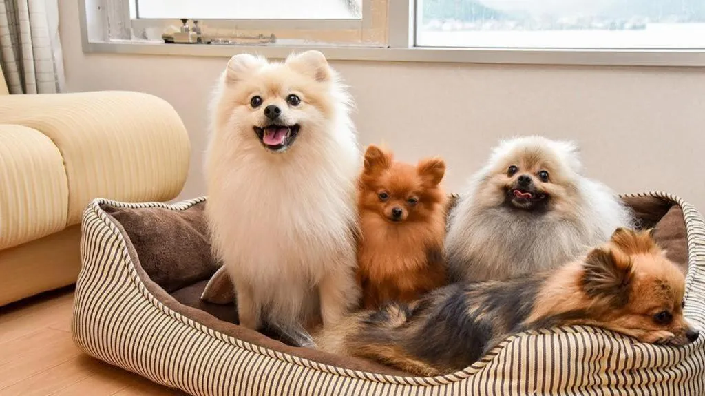 Hamanako Lake Side Plaza