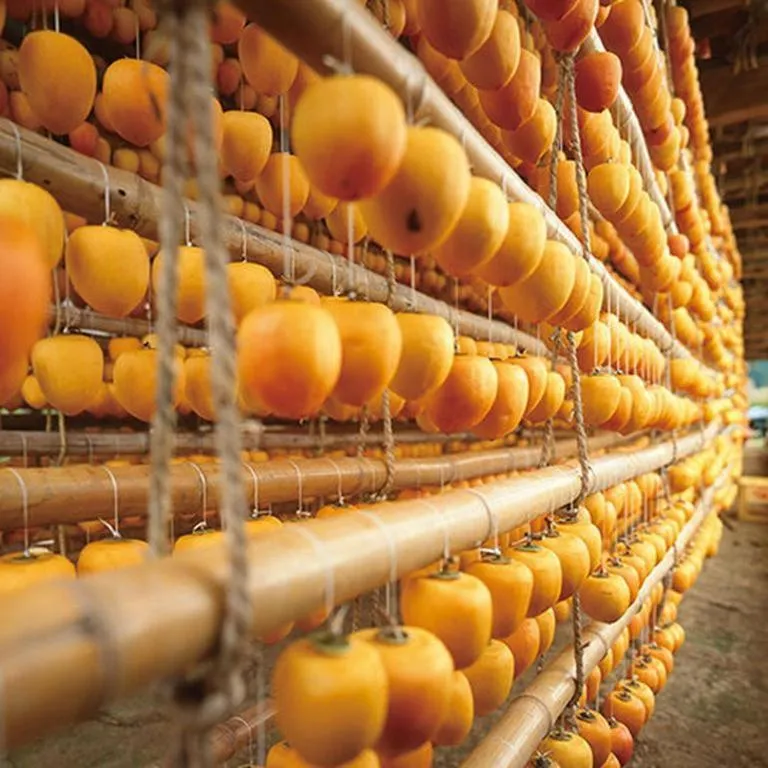 Sea Side Villa Bokkai