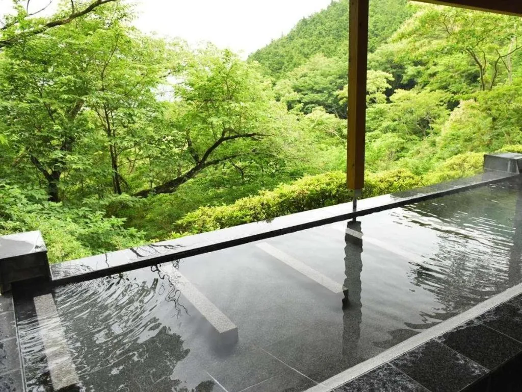 Atami Mori no Onsen Hotel