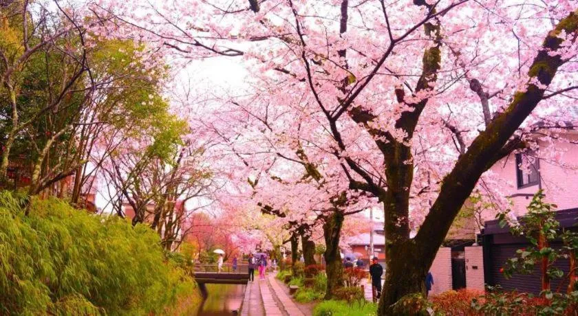 Hotel Ethnography Higashiyama Sanjo Bettei