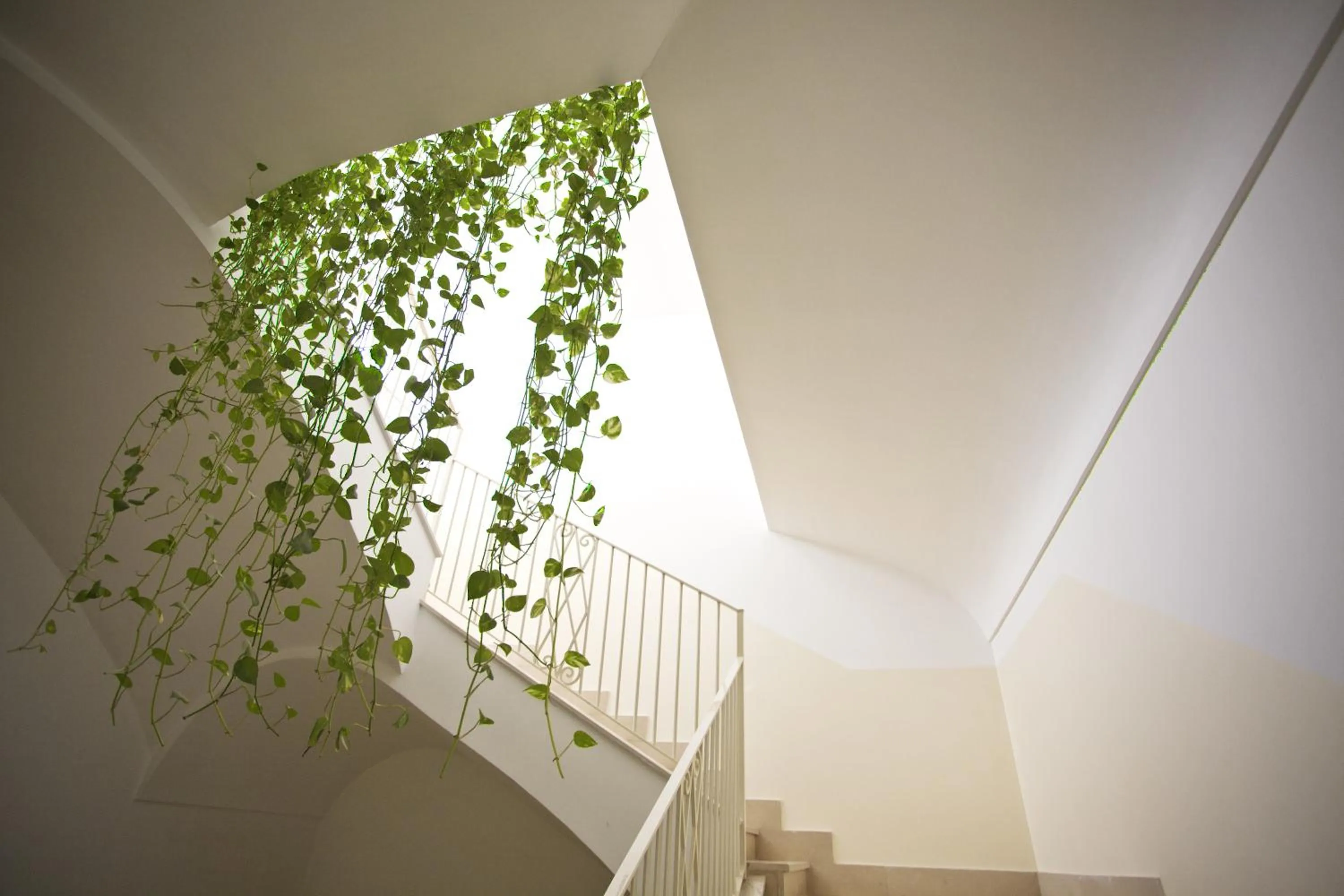 Area and facilities in Sisters Hotel