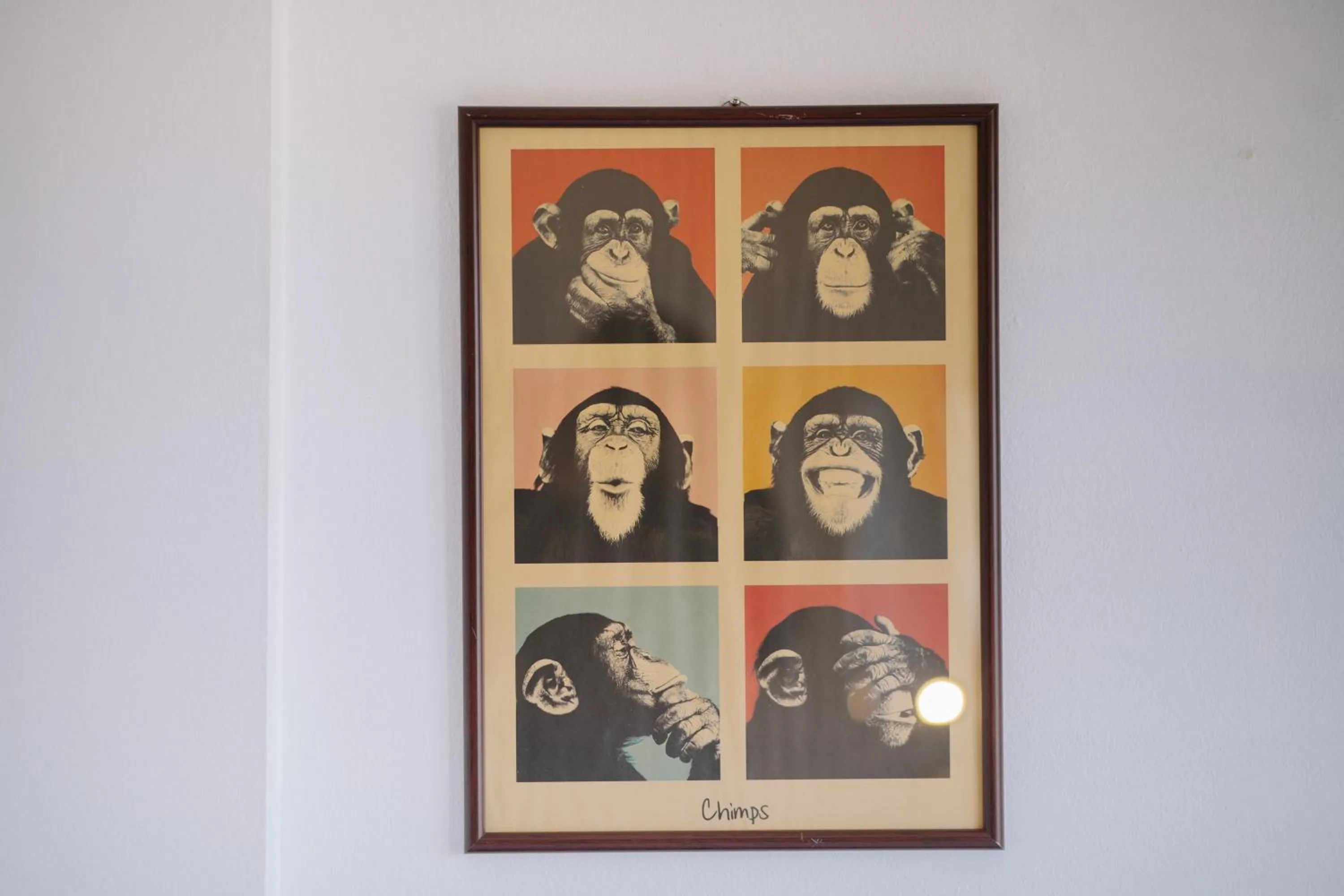 Decorative detail in B&B Chiangrai